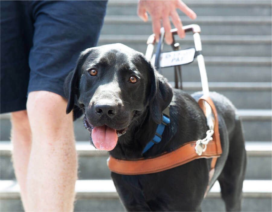 a Guide dogs client smiling at the camera with their guide dog