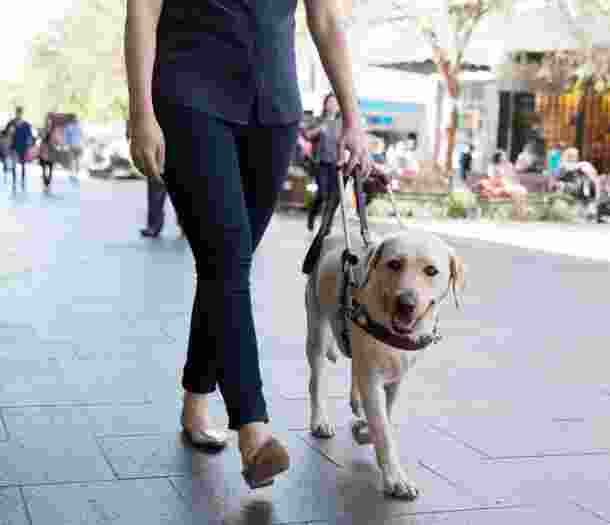 A person walking with their Guide Dog in harness through a shopping centre