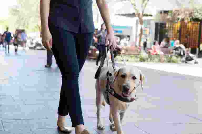 A person walking with their Guide Dog in harness through a shopping centre