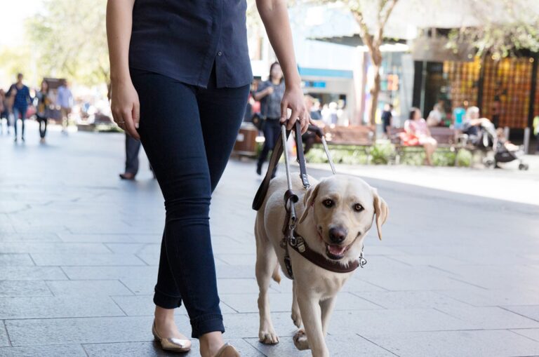 A person walking with their Guide Dog in harness through a shopping centre