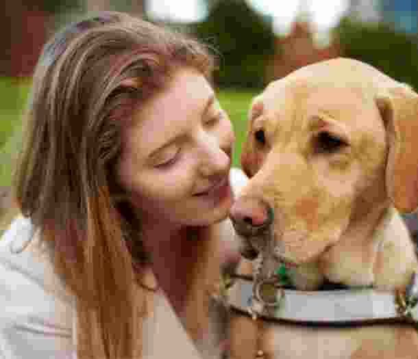 Close up of a person with their Guide Dog, who is caramel in colour and in harness. The person is smiling at the dog.