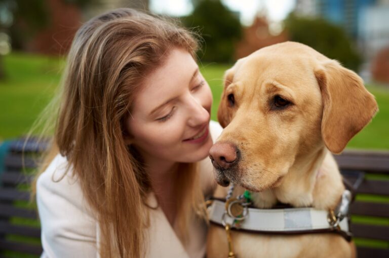 Close up of a person with their Guide Dog, who is caramel in colour and in harness. The person is smiling at the dog.