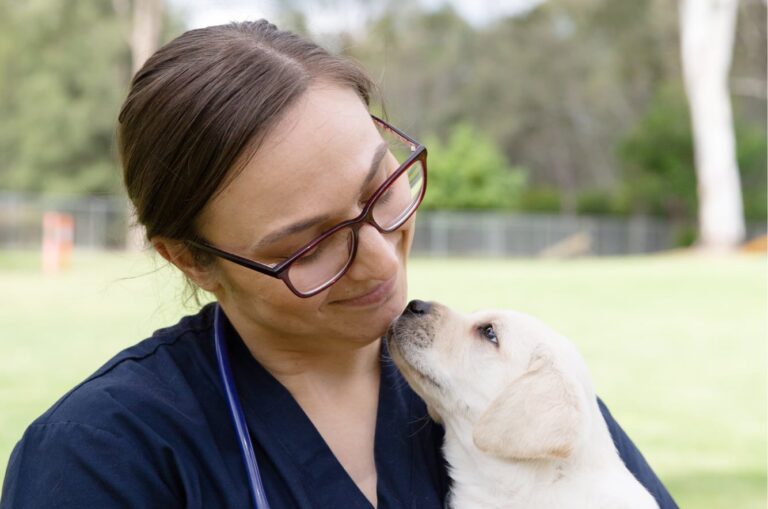 A veterinarian holding an eight week old yellow labrador puppy. The photo is taken outside and the puppy and vet are looking at each other, the veterinarian is smiling at the puppy.
