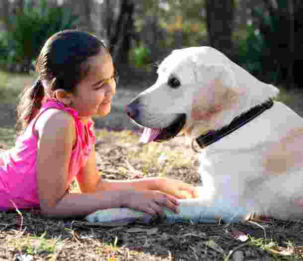 A young child laying down looking into the face of a yellow labrador dog with a smile on their face, They are both outside and are sitting facing each other.