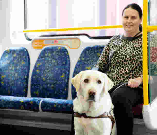 An aerial view of a mountainous coastal town at sunrise through a plane window, with part of the plane’s wing visible.