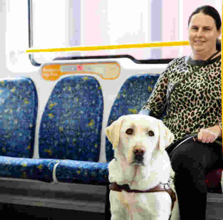 An aerial view of a mountainous coastal town at sunrise through a plane window, with part of the plane’s wing visible.