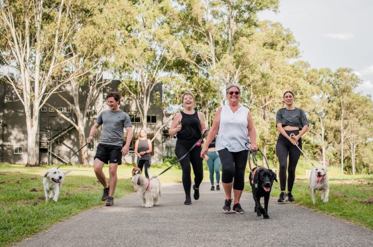 Fur-gotten friends: Aussie dogs acting up as owners return to office