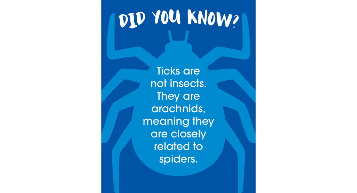 A blue poster with a graphical depiction of a tick.