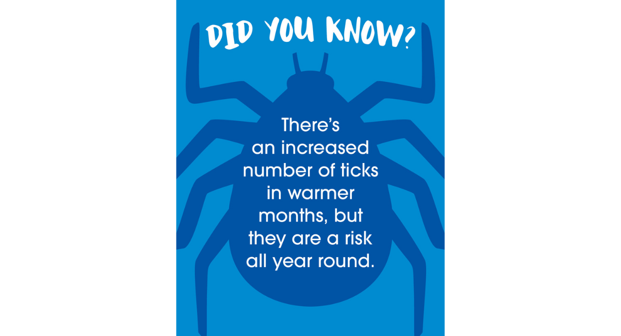 A blue poster with a graphical depiction of a tick