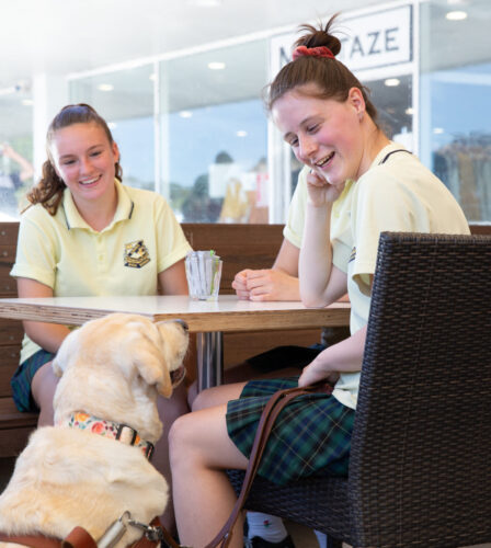 One in three Guide Dog Handlers put in danger when refused access or service because of their Guide Dog