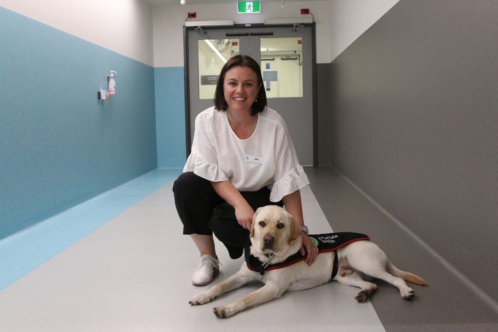 A person crouches down next to Kenzo, a yellow Labrador, in a hospital hallway