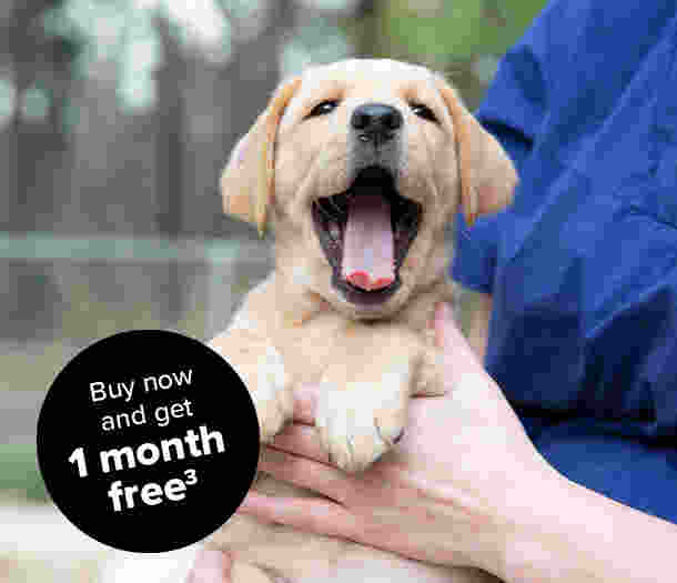 A yellow Labrador puppy yawning with a circle stamp which says 'get one month free 3.'