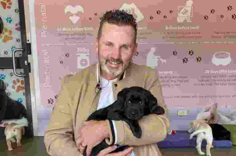 Ryan Moloney holding a black labrador puppy in a ball pit