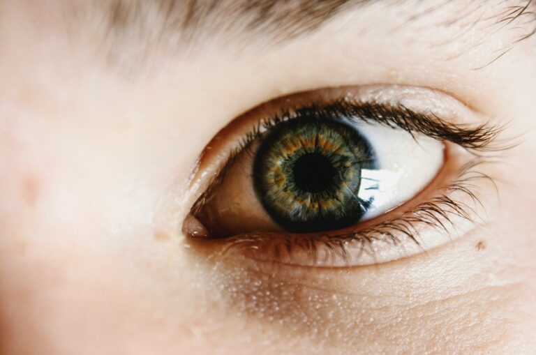 Close up image of a single eye