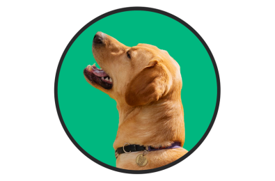 Guide Dogs SA/NT - Buddy for Life