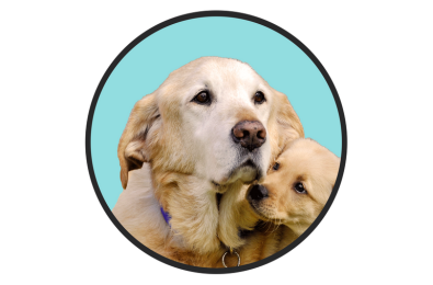 Guide Dogs Victoria  – Otus Fellowship