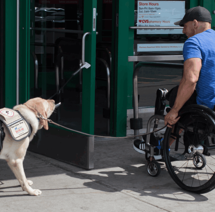 Cover image of report showing a wheelchair user and his assistance dog which opens a door for him