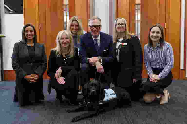 Court Dog Molly was sworn in today