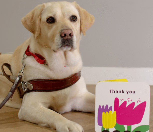 Image of yellow Guide Dog lying next to an accesisble Thank you card