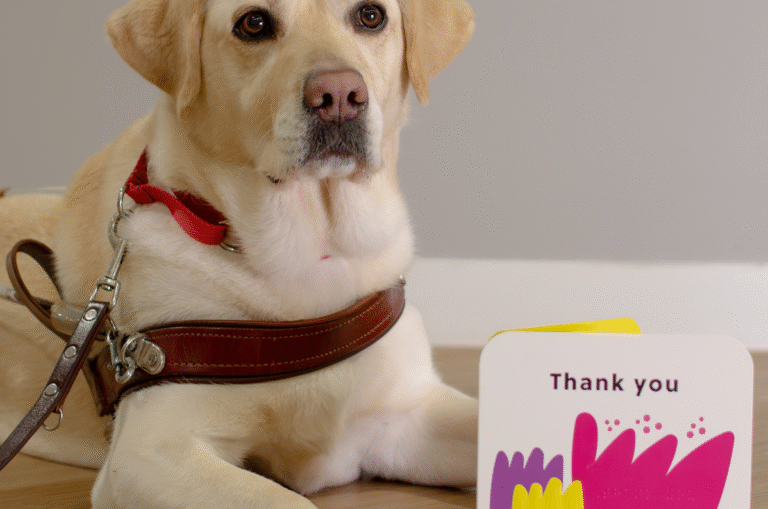 Image of yellow Guide Dog lying next to an accesisble Thank you card