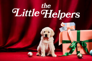 A puppy sits on a red velvet backdrop surrounded by festive decorations. To the right are large gift boxes wrapped in peach paper with green ribbons, one featuring a tag that reads “Guide Dogs.” A smaller gift box with a blue lid and peach ribbon rests on top, with a card that says “Guide Dogs.” Shiny ornaments in silver and pink are scattered on the floor. Above the puppy, white text reads “the Little Helpers.”
