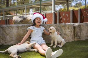 Image shows a little girl, wearing a santa hat and laughing as she plays with two puppies