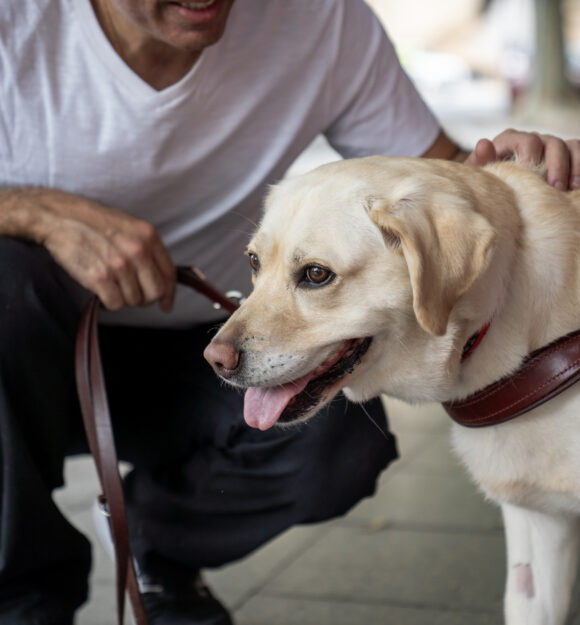 Quote by Catherine, Workplace Giver from Petstock Foundation