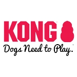 KONG Logo