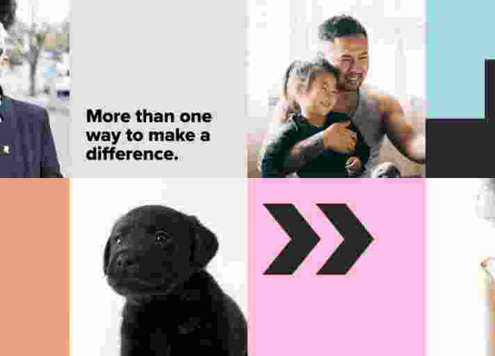 Grid showing photos with Guide Dogs brand elements.