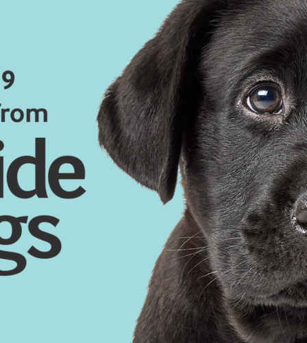 COVID-19: Business Continuity Updates