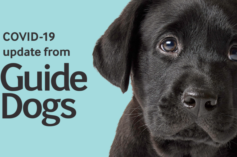 A blue image with a black puppy. There are the words 'COVID-19 Update from Guide Dogs'