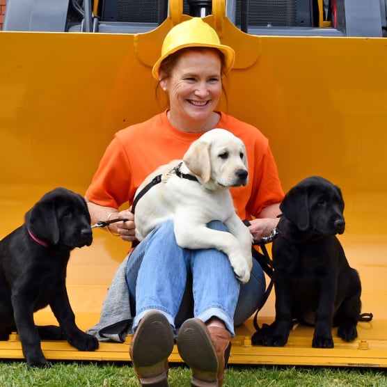 Angela wearing a hardhat sitting in a tractor bucket with three Labrador puppies
