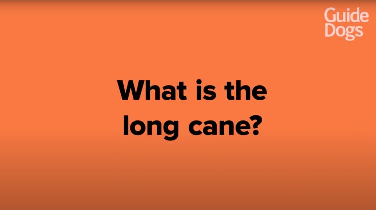 still thumbnail displaying the title What is the long cane?