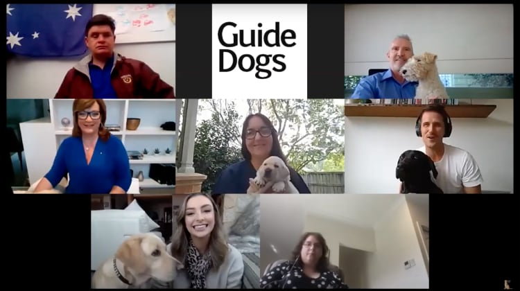Thumbnail from a YouTube video showing 7 people in a Zoom call with their dogs