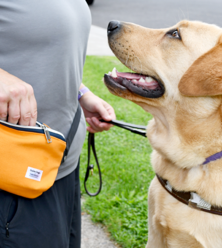 Guide Dogs Victoria x SisterWorks Collaboration