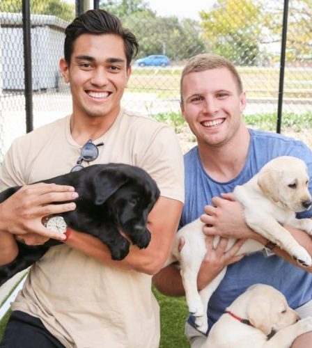 Volunteering program