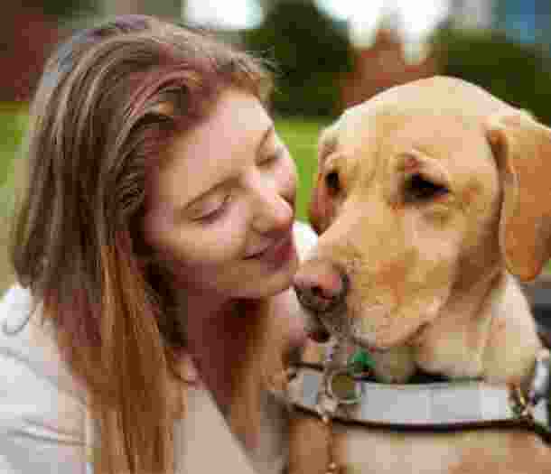 Close up of a person with their Guide Dog, who is caramel in colour and in harness. The person is smiling at the dog.