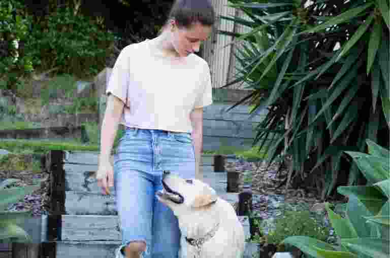 A person walking down some stairs with their yellow labrador dog. The dog and handler and looking at each other.