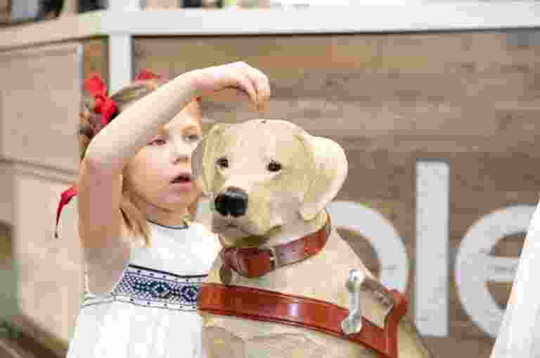 A young child putting a coin into a large Guide Dogs collection dog.
