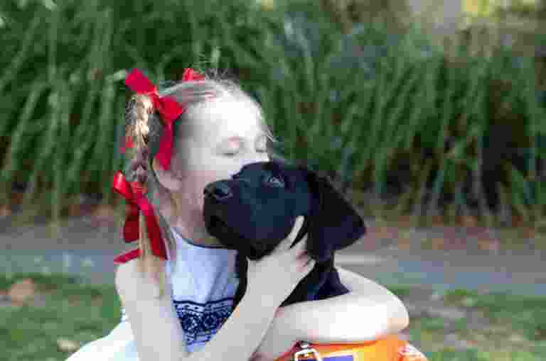 A young child kissing a black twelve week old black labrador puppy. the young child has its eyes closed and the puppy is looking to the left of the camera.