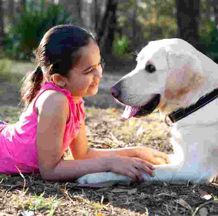 Reclassified store guide dogs