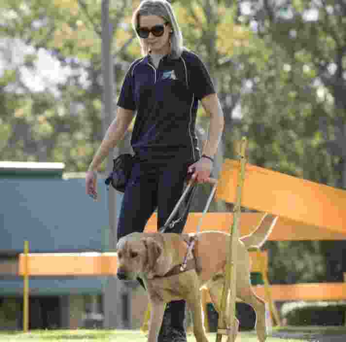 A Guide Dogs staff member walking outside with a yellow labrador Guide Dog in harness. The staff member is looking at the dog and the dog is looking at the path ahead.