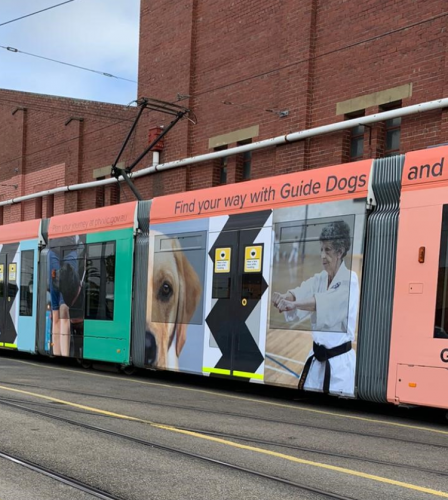 Guide Dogs Lead the Way on Public Transport