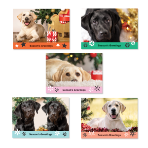Guide Dogs Christmas Cards.