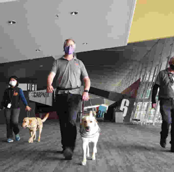 Guide Dog Trainers working with dogs in the MCEC