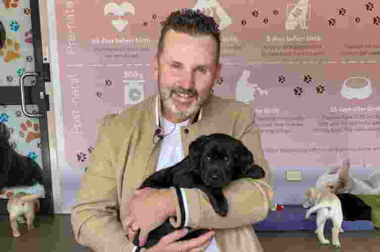 Ryan Moloney holding a black labrador puppy in a ball pit