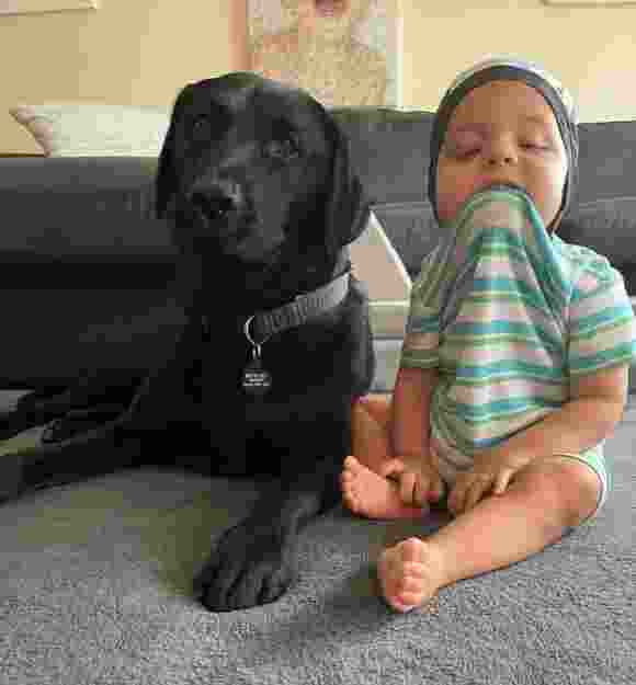 Murphy a black Labrador lies down next to toddler Ari.