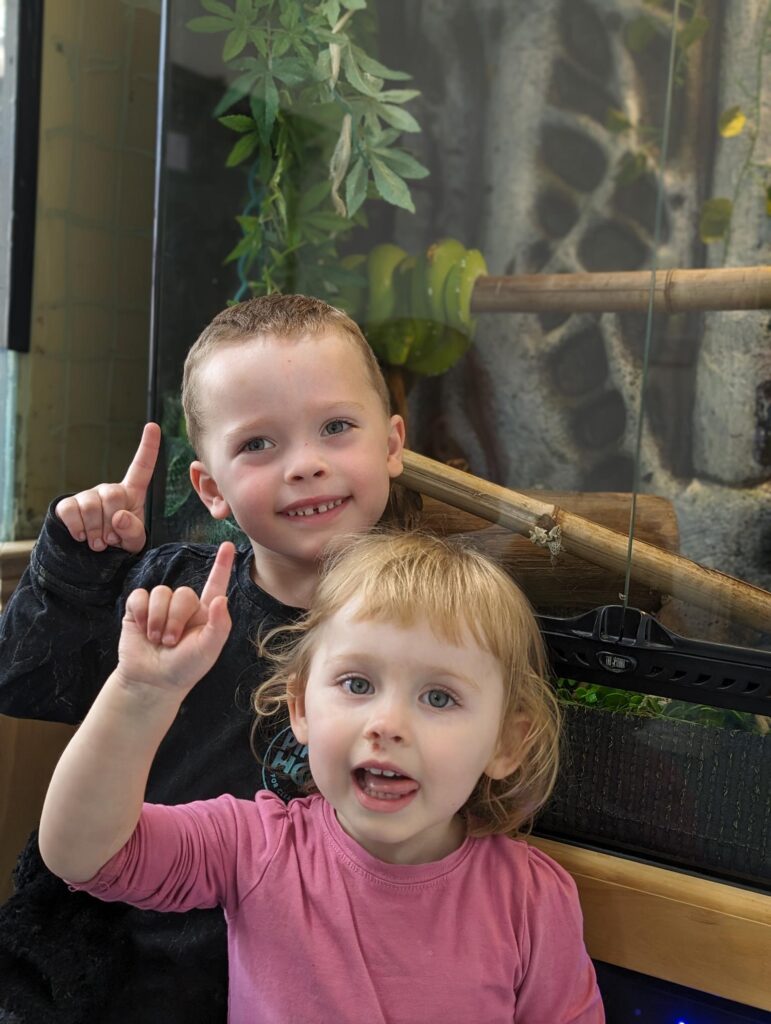 Two participants pointing at the green snake in a glass enclosure. 