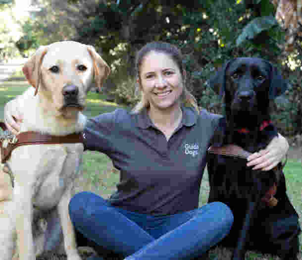 A Guide Dogs staff member sitting in between a yellow and black Labrador Guide Dog in harness.