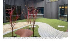 The new early puppy development courtyard located in the centre of the new Guide Dogs Victoria building. Three trees in the foreground surrounding timber path, synthetic grass, and crazy paving.